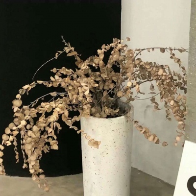 兽设背景场景绘制福瑞群